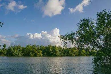 国家队凭力破欧国联困局，豪取欧锦赛突围胜利，欧国联赛比赛结果